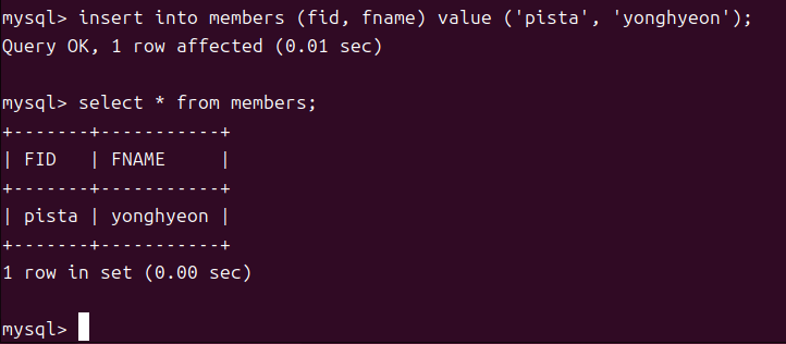 insert_into_members_(fid,fname)_value('pista','yonghyeon')